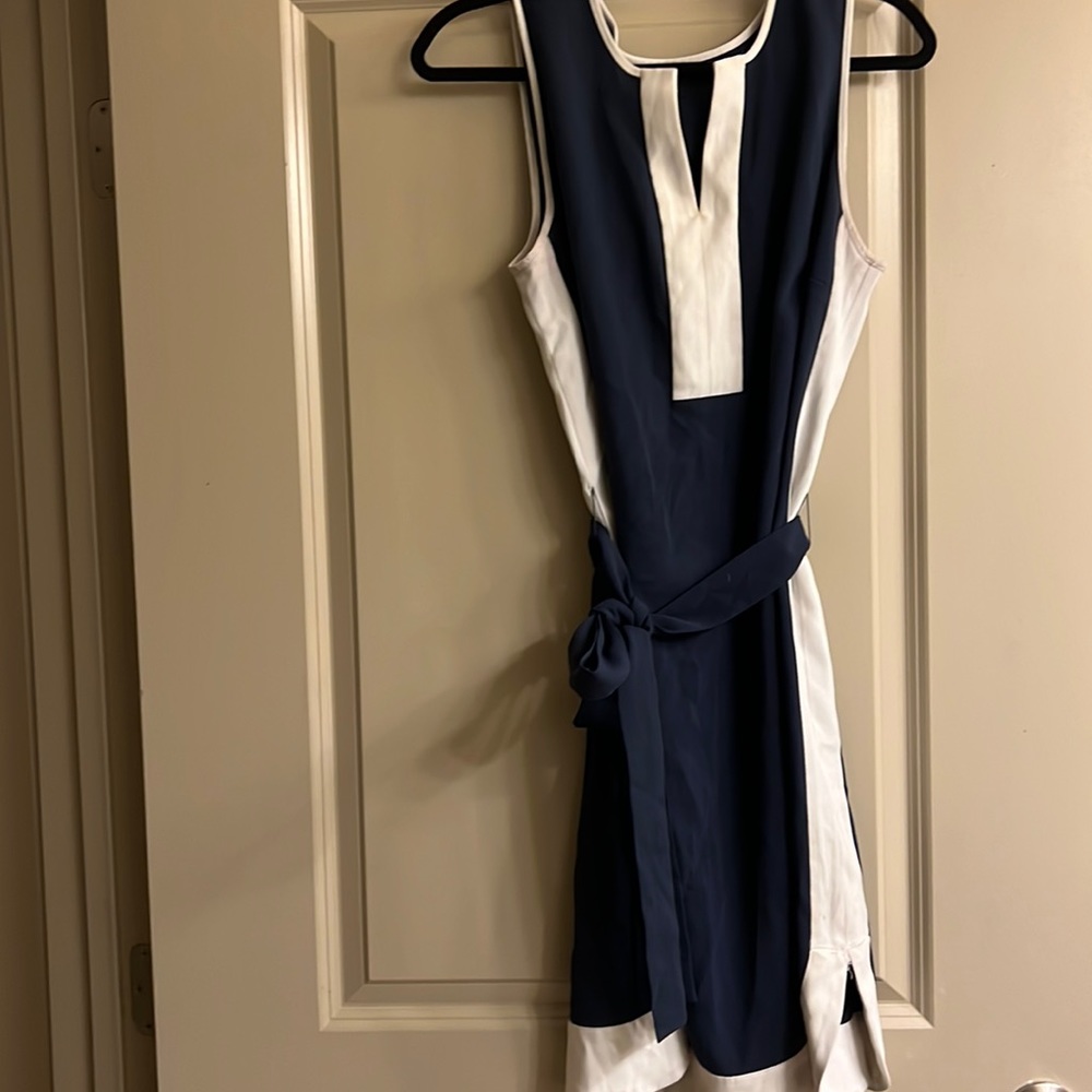 Ann Taylor Dress